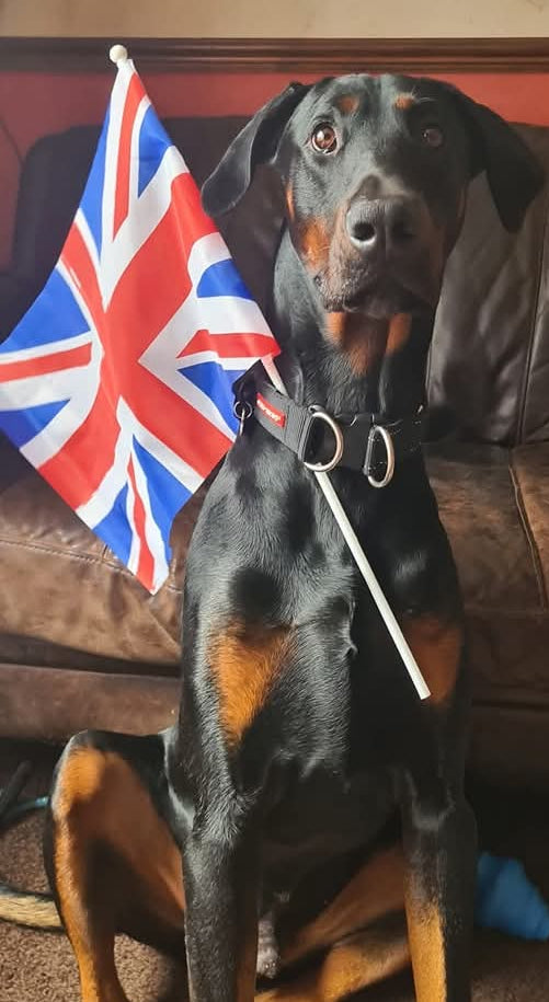 Reggie's "Best of British" box