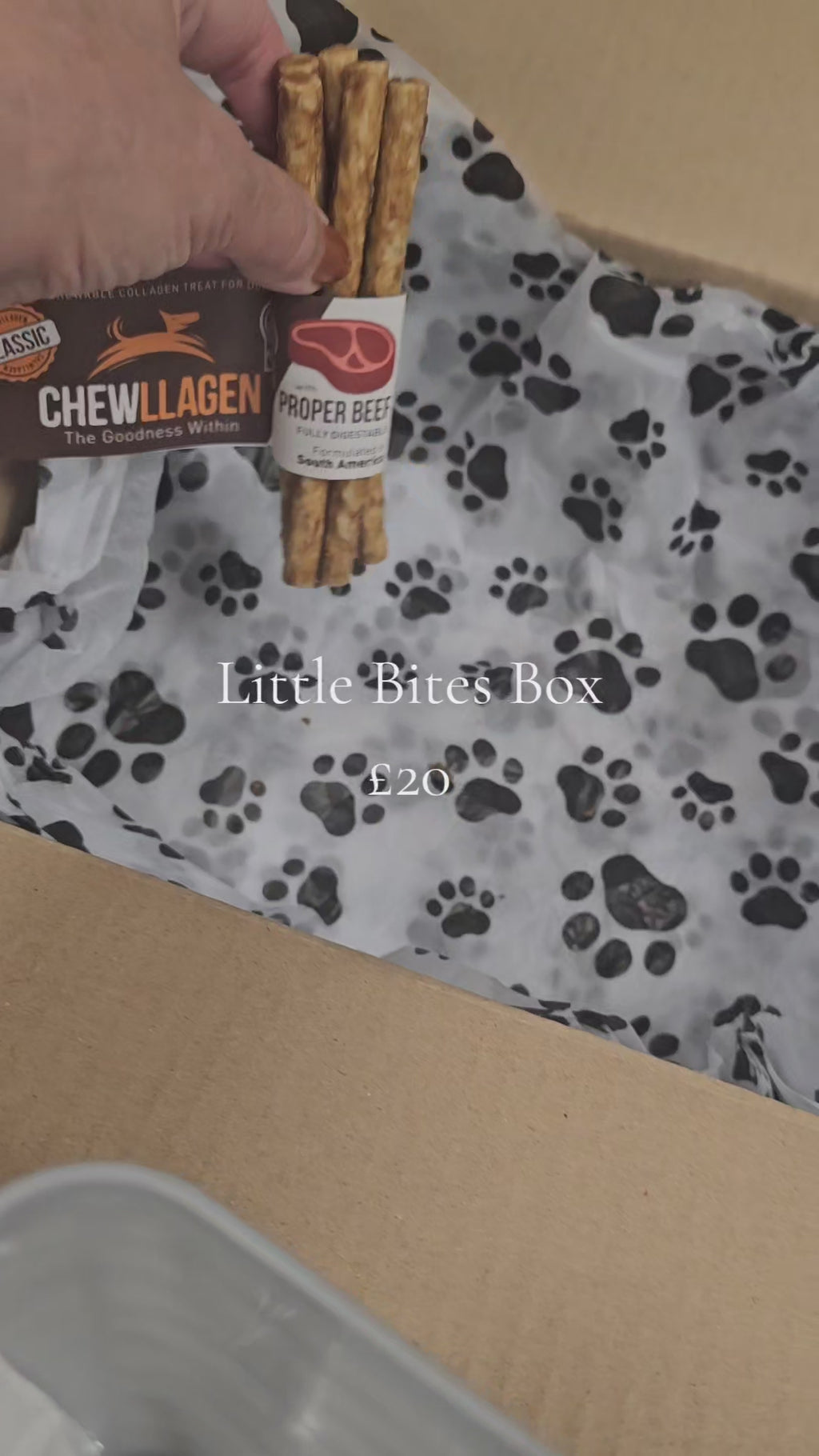 Little Bites Box