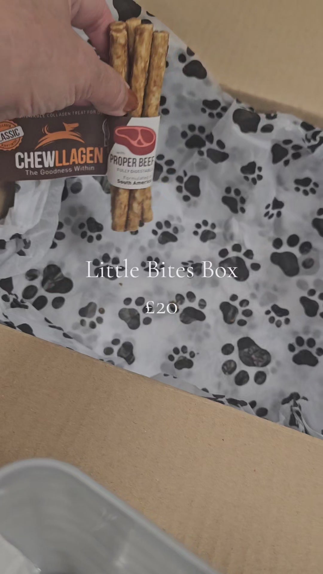 Little Bites Box