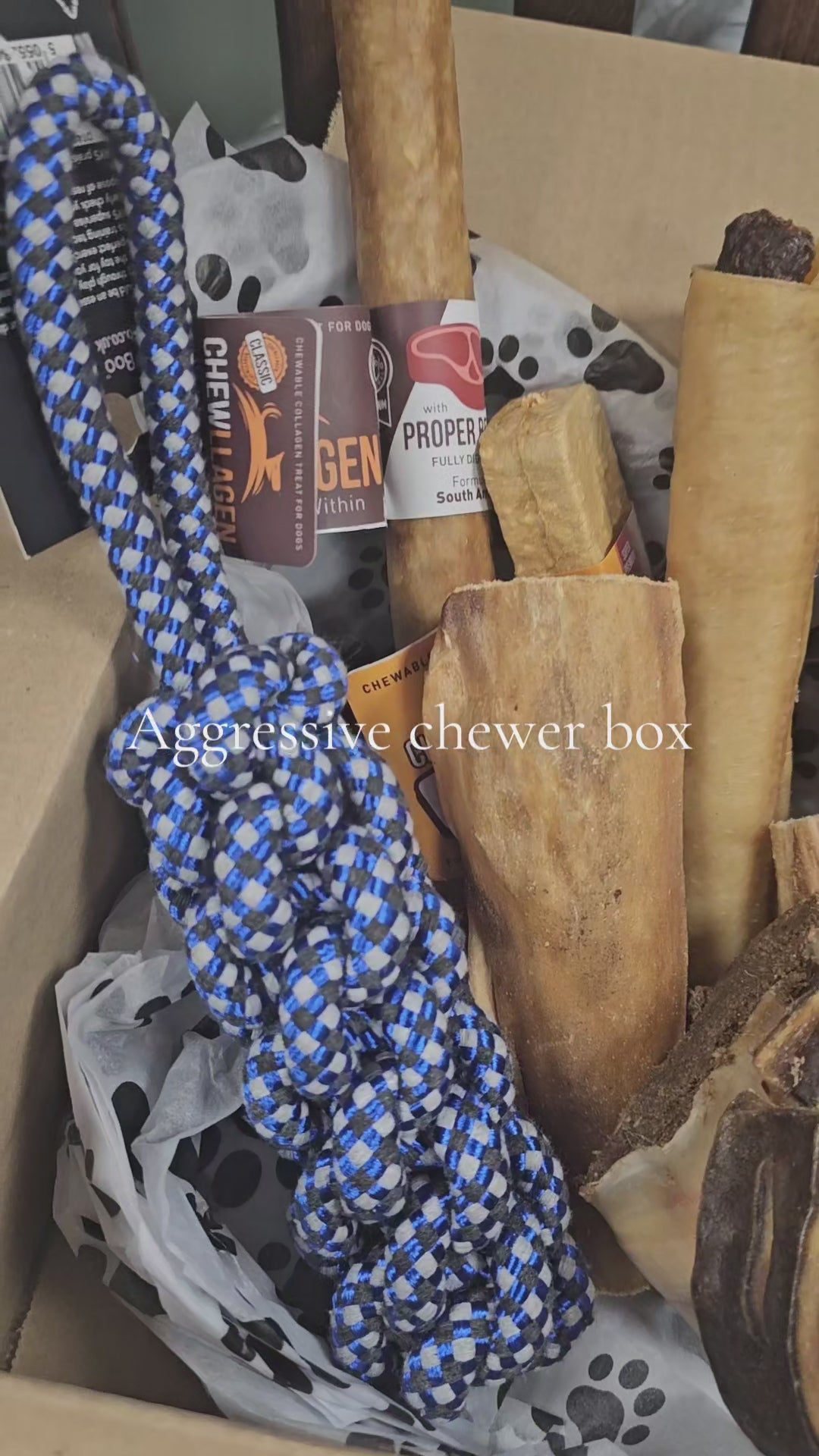 Aggressive Chewer box
