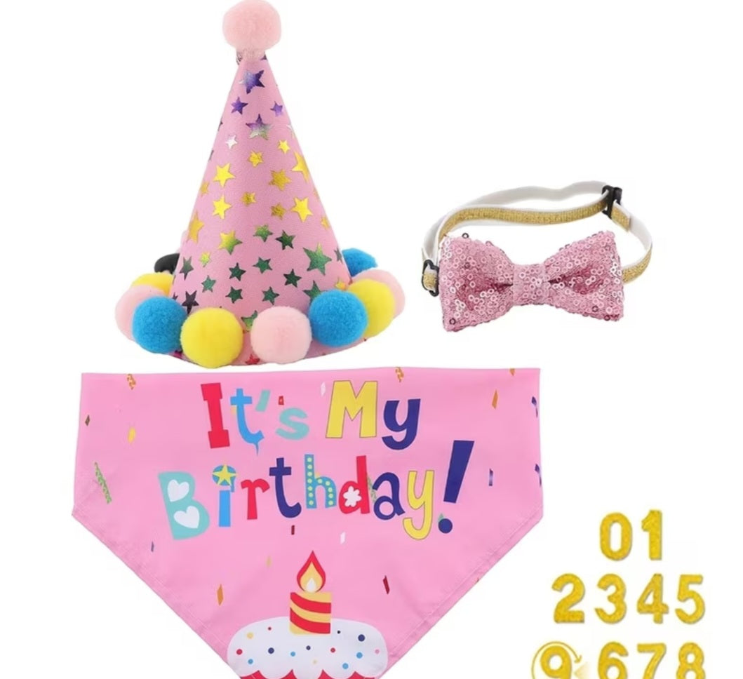 Birthday Pawty Box