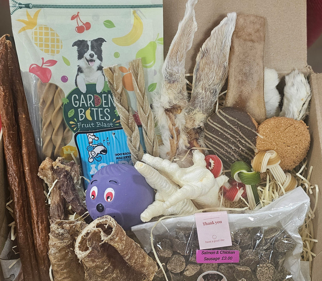 Birthday Pawty Box
