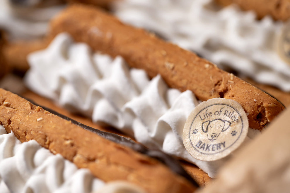Doggy Éclairs