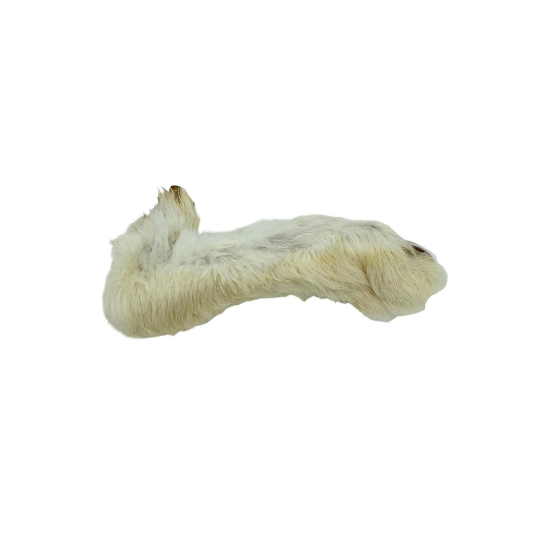 Rabbit feet