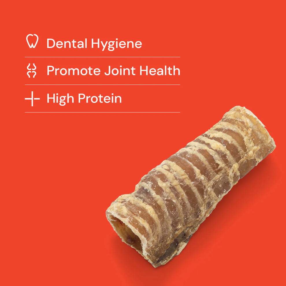 Beef Trachea