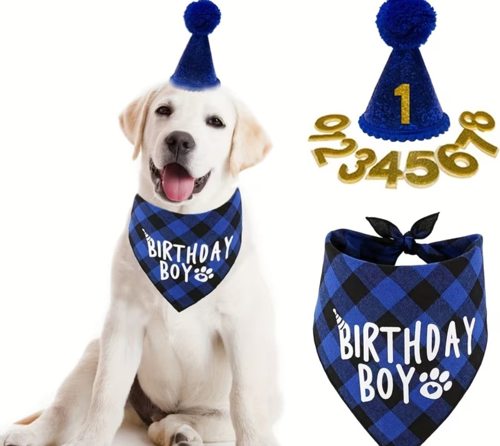Birthday Pawty Box