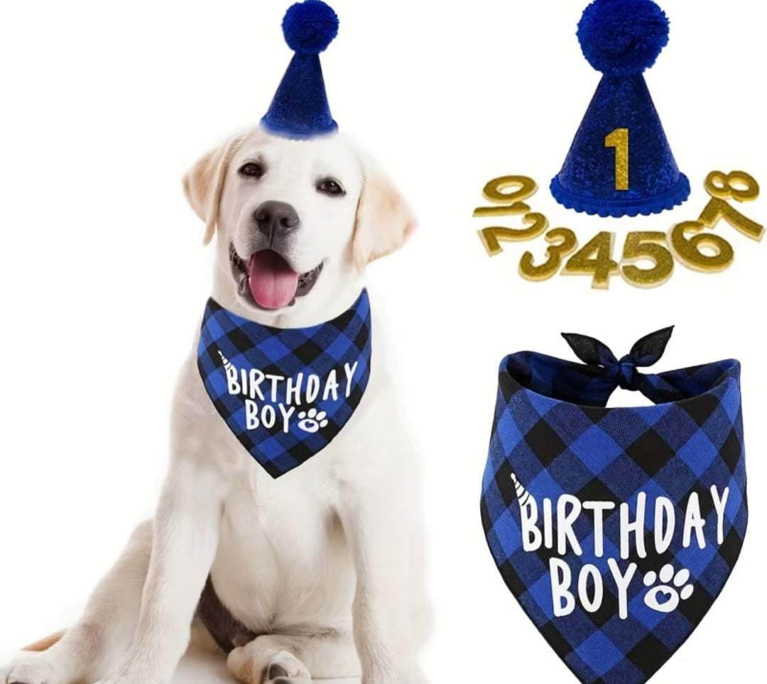 Birthday Pawty Box