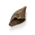 Cow Hooves