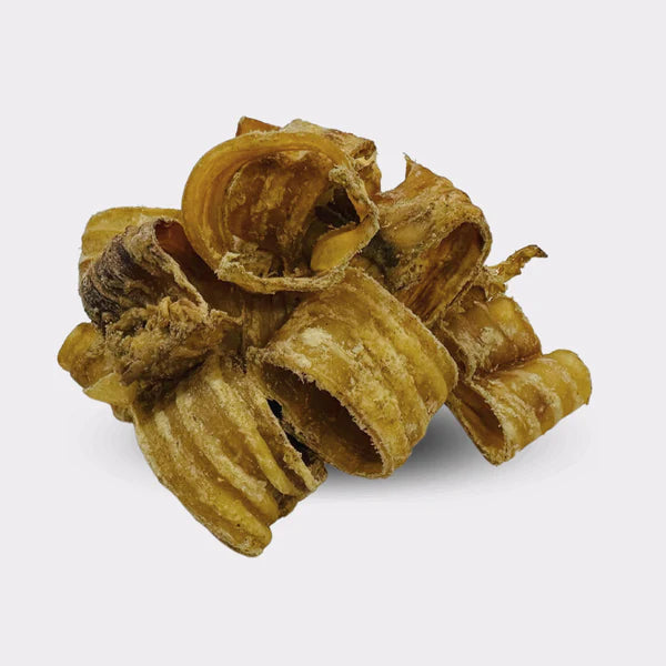 Trachea Bites