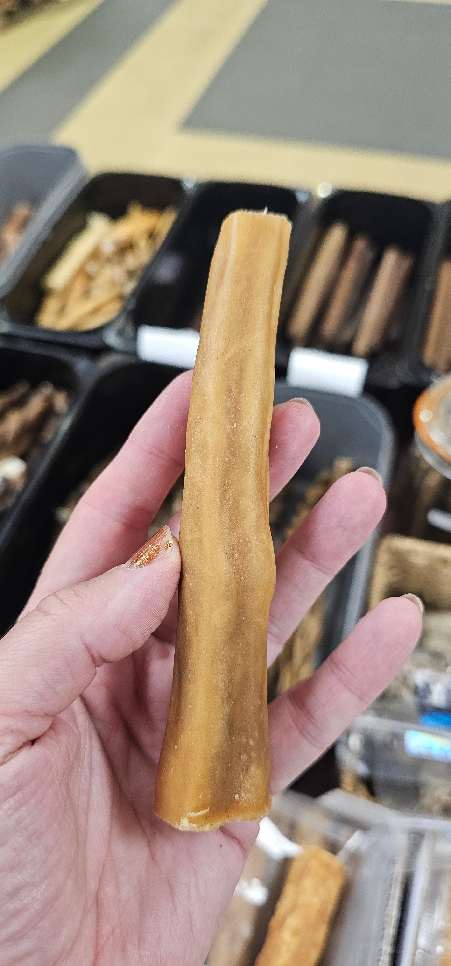Beef Tail