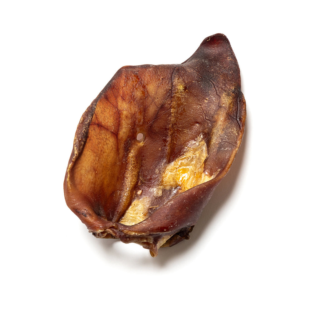 Large Sow Ears