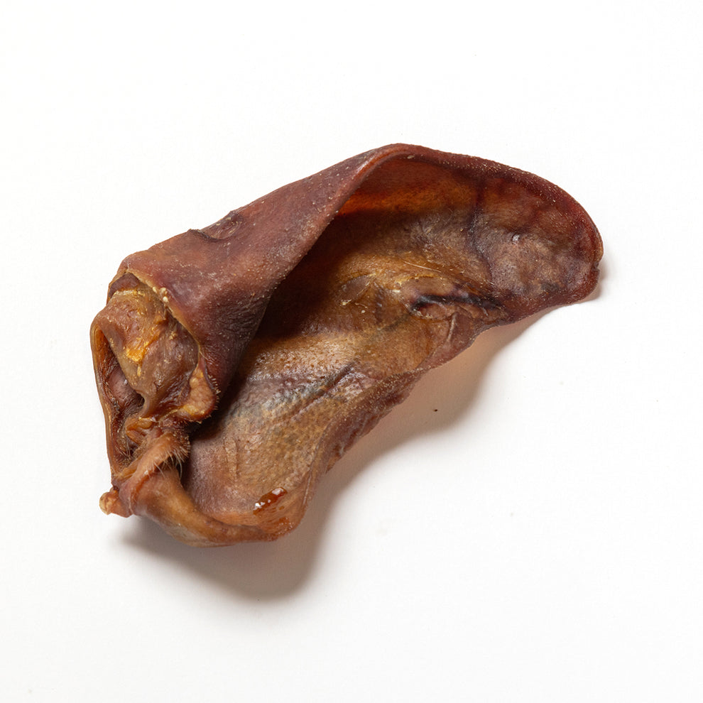 Small pigs ear